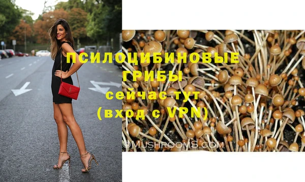 Альфа ПВП Козловка