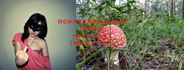 кокаин премиум Козельск