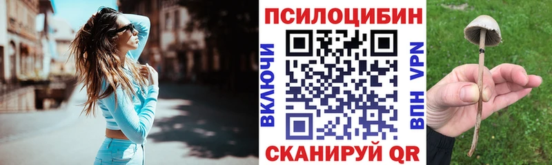 Купить  Буйнакск  Псилоцибиновые грибы мухоморы 